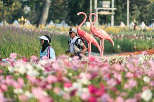 BIB: 
                            <button type="button" onclick="openModal(27344141)" class="btn btn-primary btn-sm float-right btn-popup" data-toggle="modal" data-target=".modal-high-quality">
                        <i class="fas fa-shopping-cart"></i> Add to Cart
                    </button>
                                            <button type="button" onclick="isThisMe(27344141, true)" class="btn btn-success btn-sm float-right btn-popup btn-isme hidden" data-toggle="tooltip" data-placement="bottom" title="นี่คือรูปของคุณใช่ไหม คลิกที่นี่เพื่อเอาเข้าอัลบั้ม">
                        <i class="fas fa-plus"></i> Add to album
                    </button>
                    <button type="button" onclick="isThisMe(27344141, false)" class="btn btn-warning btn-sm float-right btn-popup btn-isnotme hidden">
                        <i class="fas fa-ban"></i> Remove from album
                    </button>